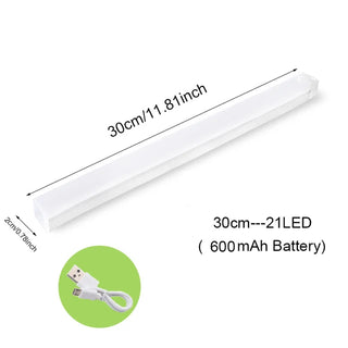 Motion Sensor Light