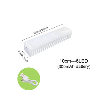 Motion Sensor Light