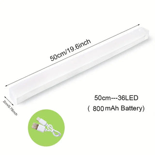 Motion Sensor Light